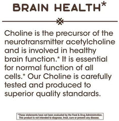 Nature's Way Choline 500 mg 100 Vegan Tablets