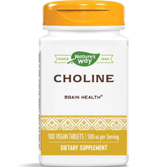 Nature's Way Choline 500 mg 100 Vegan Tablets